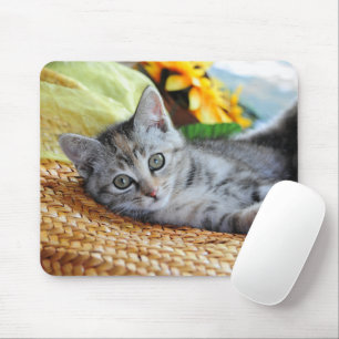 Kutest Baby Animals   Kitten Lounging Muismat