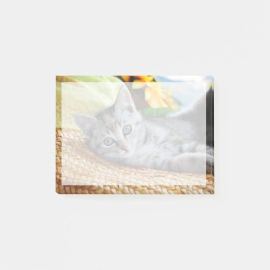 Kutest Baby Animals | Kitten Lounging Post-it® Notes (Voorkant)