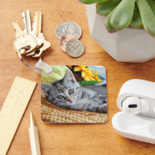 Kutest Baby Animals Kitten Lounging Sleutelhanger