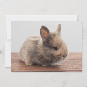 Kutest Baby Animals Kleine Baby Bunny Bedankkaart