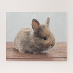 Kutest Baby Animals Kleine Baby Bunny Legpuzzel