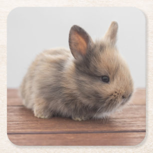 Kutest Baby Animals   Kleine Baby Bunny Vierkante Kartonnen Onderzetter