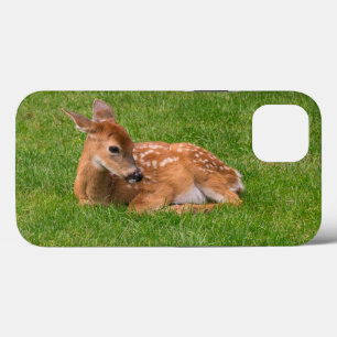 Kutest Baby Animals Kleine Fawn iPhone 13 Hoesje