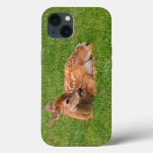 Kutest Baby Animals | Kleine Fawn Case-Mate iPhone Case (Achterkant)