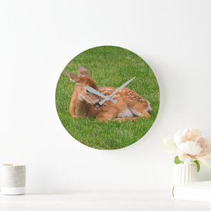 Kutest Baby Animals Kleine Fawn Grote Klok