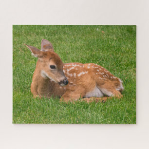 Kutest Baby Animals   Kleine Fawn Legpuzzel
