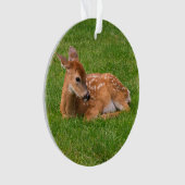 Kutest Baby Animals | Kleine Fawn Ornament (voorkant)