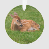 Kutest Baby Animals | Kleine Fawn Ornament (voorkant)