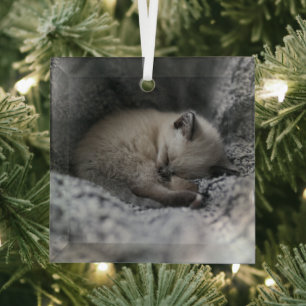 Kutest Baby Animals Kleine glazen slaapstand Glas Ornament