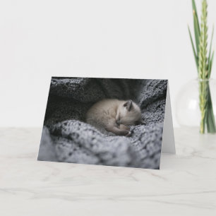 Kutest Baby Animals   Kleine glazen slaapstand Kaart