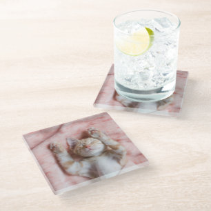 Kutest Baby Animals Kleine Oranje tapkeuten Glazen Onderzetter