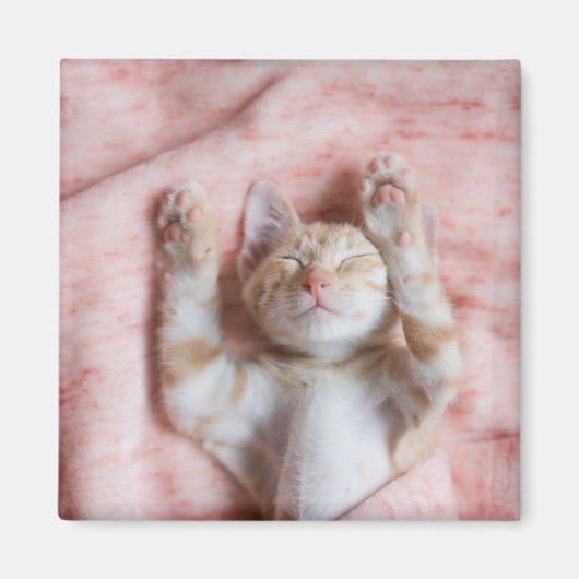 Kutest Baby Animals | Kleine Oranje tapkeuten Magneet (Voorkant)