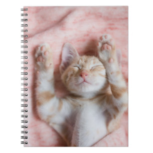 Kutest Baby Animals   Kleine Oranje tapkeuten Notitieboek