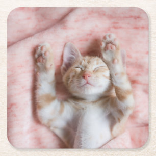 Kutest Baby Animals Kleine Oranje tapkeuten Vierkante Kartonnen Onderzetter