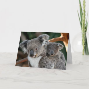 Kutest Baby Animals Koala en Joey Kaart