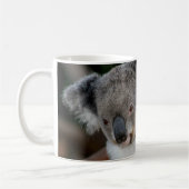 Kutest Baby Animals | Koala en Joey Koffiemok (Links)