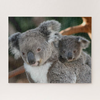 Kutest Baby Animals | Koala en Joey Legpuzzel