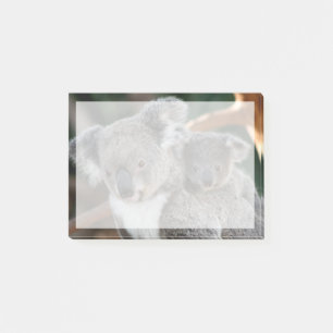 Kutest Baby Animals   Koala en Joey Post-it® Notes