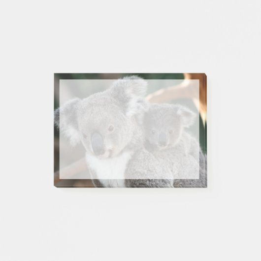 Kutest Baby Animals | Koala en Joey Post-it® Notes (Voorkant)