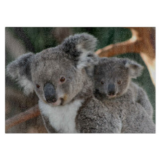 Kutest Baby Animals | Koala en Joey Snijplank