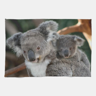 Kutest Baby Animals | Koala en Joey Theedoek