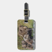 Kutest Baby Animals | Kodiak Mama Beer & Cubs Bagagelabel (Voorkant verticaal)