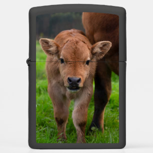 Kutest Baby Animals Koe en kalf