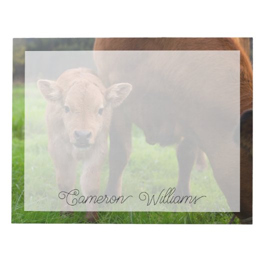 Kutest Baby Animals | Koe en kalf Notitieblok (Voorkant)