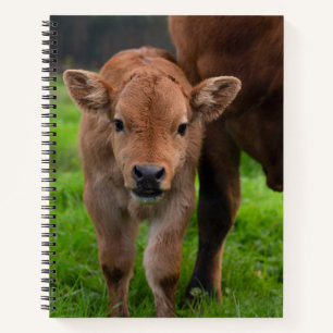 Kutest Baby Animals   Koe en kalf Notitieboek