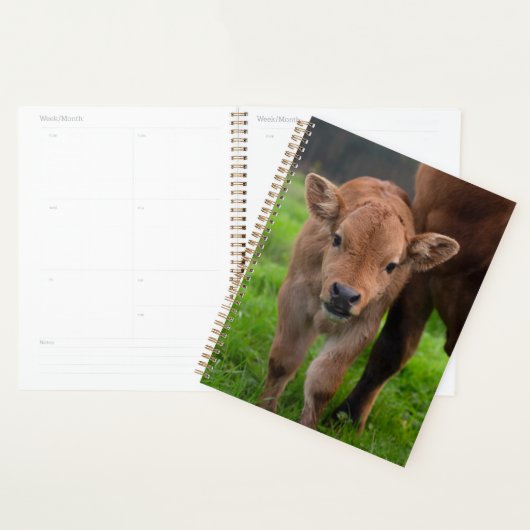 Kutest Baby Animals | Koe en kalf Planner (Display)
