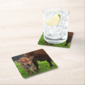 Kutest Baby Animals | Koe en kalf Vierkante Kartonnen Onderzetter (Insitu)