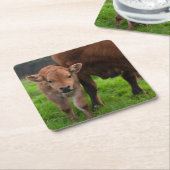 Kutest Baby Animals | Koe en kalf Vierkante Kartonnen Onderzetter (Schuin)