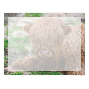 Kutest Baby Animals Koe van het Hoogland Notitieblok