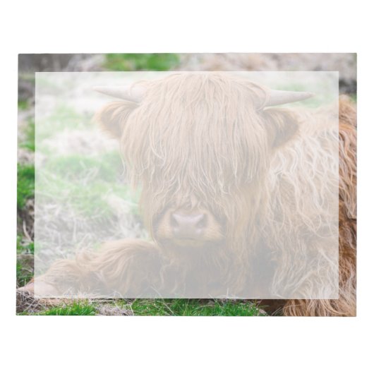 Kutest Baby Animals | Koe van het Hoogland Notitieblok (Voorkant)