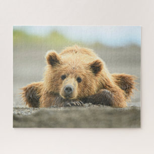 Kutest Baby Animals   Kustbruine Beer Cub Legpuzzel