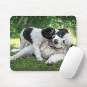Kutest Baby Animals Landseer Puppy Muismat