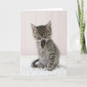 Kutest Baby Animals Licking Tabby Kitten Kaart