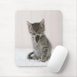 Kutest Baby Animals Licking Tabby Kitten Muismat