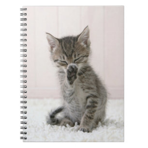 Kutest Baby Animals Licking Tabby Kitten Notitieboek