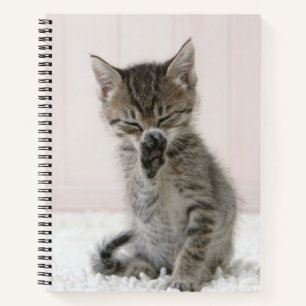 Kutest Baby Animals Licking Tabby Kitten Notitieboek