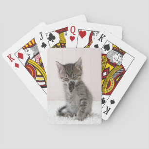 Kutest Baby Animals   Licking Tabby Kitten Pokerkaarten