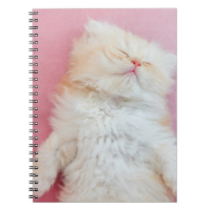 Kutest Baby Animals   Lieve Kitten Slaap Notitieboek