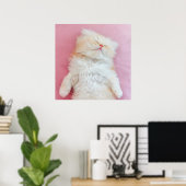 Kutest Baby Animals | Lieve Kitten Slaap Poster (Thuiskantoor)