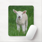 Kutest Baby Animals | Lil Lamb Muismat (Met muis)