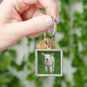 Kutest Baby Animals   Lil Lamb Sleutelhanger