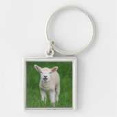 Kutest Baby Animals | Lil Lamb Sleutelhanger (Voorkant)