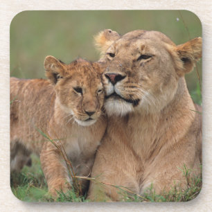 Kutest Baby Animals Lion Cub en moeder Bier Onderzetter