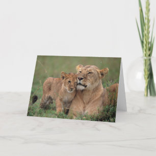 Kutest Baby Animals   Lion Cub en moeder Kaart
