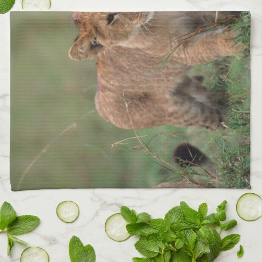 Kutest Baby Animals | Lion Cub en moeder Theedoek (Gevouwen)