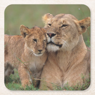 Kutest Baby Animals   Lion Cub en moeder Vierkante Kartonnen Onderzetter